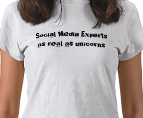 Is there such thing as a Social Media Expert