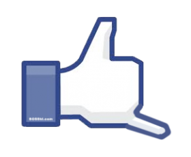 Our design "Shaka the new LIKE" went VIRAL!