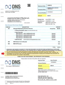 DNS Services is a scam! dns services scam 228x300 DNS Services is a scam!