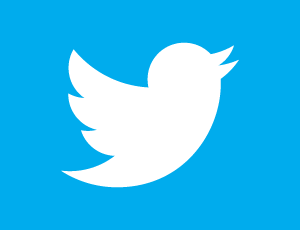 Twitter Advertising for Small Businesses